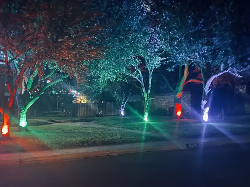 Front yard trees at night lit from below in red, green, blue and purple